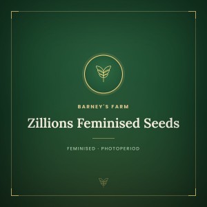 Zillions Feminised Seeds