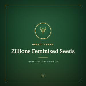 Zillions Feminised Seeds
