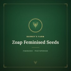 Zoap Feminised Seeds Zoap Feminised Seeds