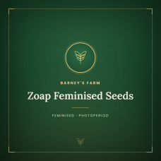 Zoap Feminised Seeds Zoap Feminised Seeds