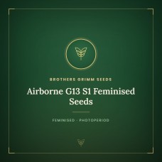 Airborne G13 S1 Feminised Seeds Airborne G13 S1 Feminised Seeds