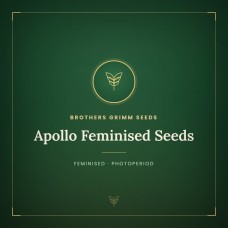 Apollo Feminised Seeds Apollo Feminised Seeds