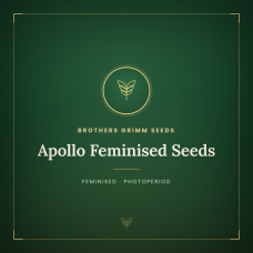 Apollo Feminised Seeds Apollo Feminised Seeds