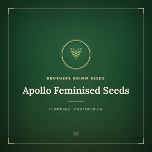 Apollo Feminised Seeds Apollo Feminised Seeds