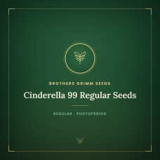 Cinderella 99 Regular Seeds Cinderella 99 Regular Seeds