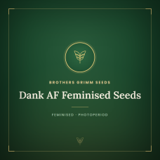 Dank AF Feminised Seeds Dank AF Feminised Seeds