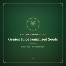 Genius Juice Feminised Seeds Genius Juice Feminised Seeds