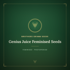 Genius Juice Feminised Seeds Genius Juice Feminised Seeds