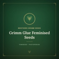 Grimm Glue Feminised Seeds Grimm Glue Feminised Seeds