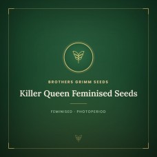 Killer Queen Feminised Seeds
