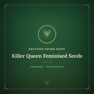 Killer Queen Feminised Seeds