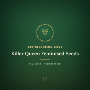 Killer Queen Feminised Seeds