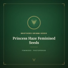 Princess Haze Feminised Seeds Princess Haze Feminised Seeds