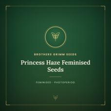 Princess Haze Feminised Seeds Princess Haze Feminised Seeds