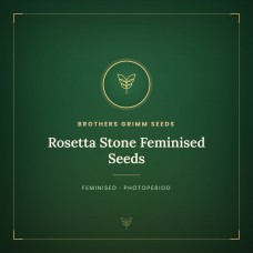 Rosetta Stone Feminised Seeds Rosetta Stone Feminised Seeds