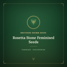 Rosetta Stone Feminised Seeds Rosetta Stone Feminised Seeds