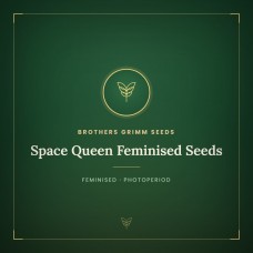 Space Queen Feminised Seeds Space Queen Feminised Seeds