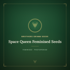 Space Queen Feminised Seeds Space Queen Feminised Seeds