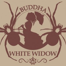Buddha Classics White Widow Feminised Seeds Buddha Classics White Widow Feminised Seeds