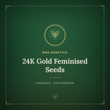 24K Gold Feminised Seeds 24K Gold Feminised Seeds