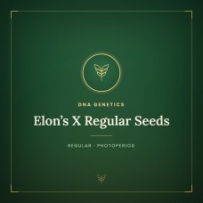Elon’s X Regular Seeds