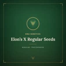 Elon’s X Regular Seeds Elon’s X Regular Seeds