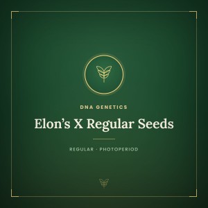 Elon’s X Regular Seeds Elon’s X Regular Seeds