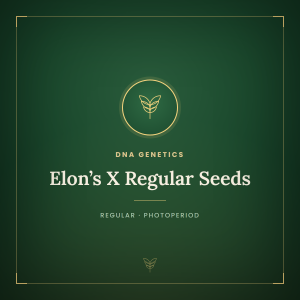Elon’s X Regular Seeds Elon’s X Regular Seeds