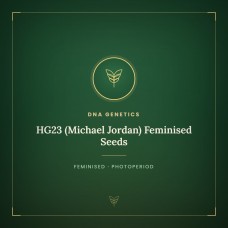 HG23 (Michael Jordan) Feminised Seeds HG23 (Michael Jordan) Feminised Seeds