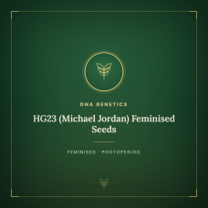 HG23 (Michael Jordan) Feminised Seeds HG23 (Michael Jordan) Feminised Seeds
