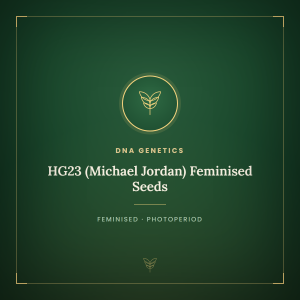 HG23 (Michael Jordan) Feminised Seeds HG23 (Michael Jordan) Feminised Seeds