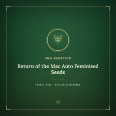 Return of the Mac Auto Feminised Seeds Return of the Mac Auto Feminised Seeds