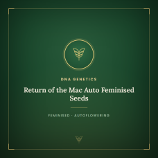 Return of the Mac Auto Feminised Seeds Return of the Mac Auto Feminised Seeds