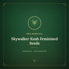 Skywalker Kush Feminised Seeds Skywalker Kush Feminised Seeds