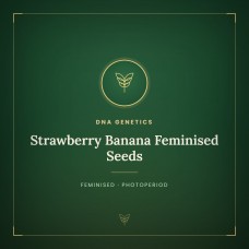 Strawberry Banana Feminised Seeds Strawberry Banana Feminised Seeds
