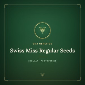 Swiss Miss Regular Seeds Swiss Miss Regular Seeds
