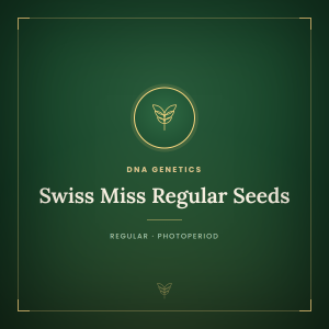 Swiss Miss Regular Seeds Swiss Miss Regular Seeds