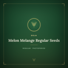 Melon Melange Regular Seeds Melon Melange Regular Seeds