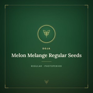 Melon Melange Regular Seeds Melon Melange Regular Seeds