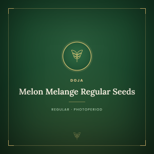 Melon Melange Regular Seeds Melon Melange Regular Seeds