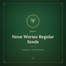 Neon Wormz Regular Seeds Neon Wormz Regular Seeds