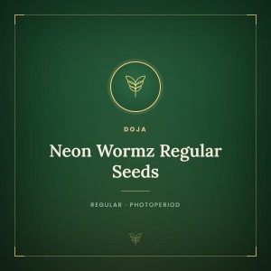 Neon Wormz Regular Seeds Neon Wormz Regular Seeds