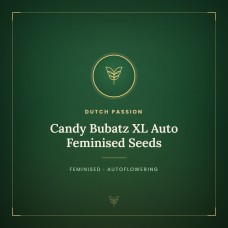Candy Bubatz XL Auto Feminised Seeds Candy Bubatz XL Auto Feminised Seeds