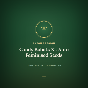 Candy Bubatz XL Auto Feminised Seeds