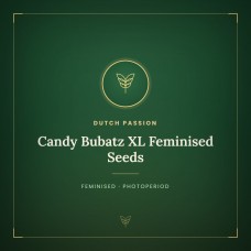 Candy Bubatz XL Feminised Seeds Candy Bubatz XL Feminised Seeds