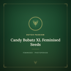 Candy Bubatz XL Feminised Seeds Candy Bubatz XL Feminised Seeds