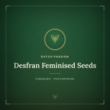 Desfran Feminised Seeds Desfran Feminised Seeds