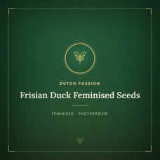Frisian Duck Feminised Seeds Frisian Duck Feminised Seeds