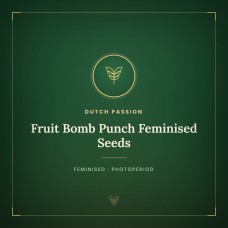 Fruit Bomb Punch Feminised Seeds Fruit Bomb Punch Feminised Seeds