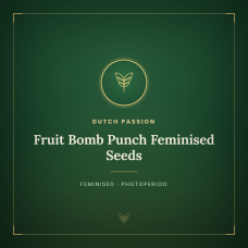 Fruit Bomb Punch Feminised Seeds Fruit Bomb Punch Feminised Seeds